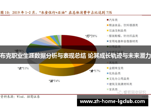 布克职业生涯数据分析与表现总结 论其成长轨迹与未来潜力